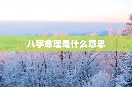 八字命理是什么意思