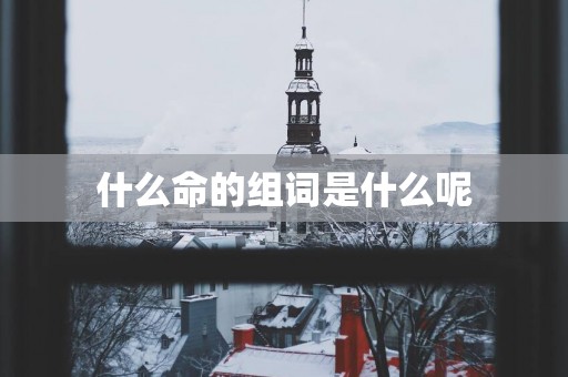 什么命的组词是什么呢
