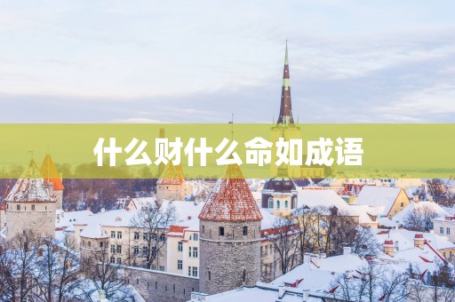 什么财什么命如成语