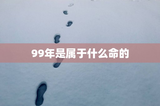 99年是属于什么命的