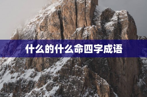 什么的什么命四字成语