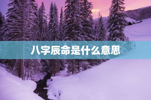 八字辰命是什么意思