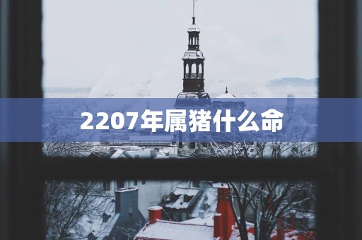 2207年属猪什么命