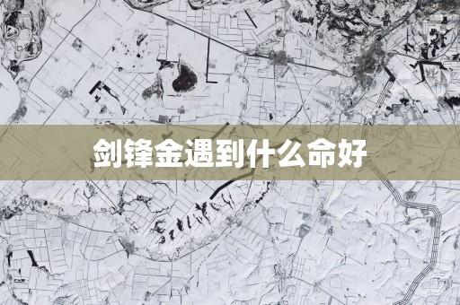 剑锋金遇到什么命好