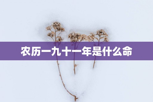农历一九十一年是什么命