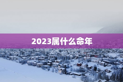 2025属什么命年