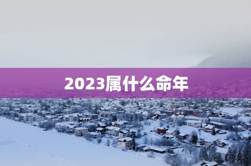 2023属什么命年