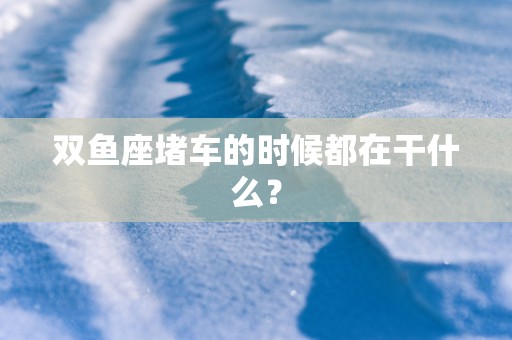 双鱼座堵车的时候都在干什么？