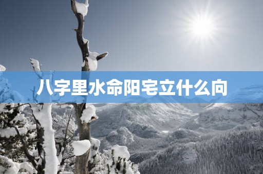 八字里水命阳宅立什么向