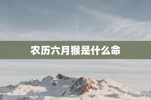 农历六月猴是什么命
