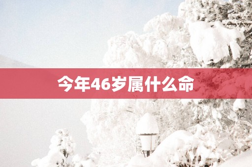 今年46岁属什么命