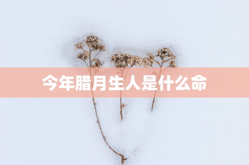 今年腊月生人是什么命