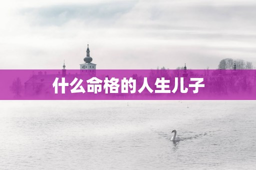 什么命格的人生儿子