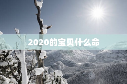 2025的宝贝什么命