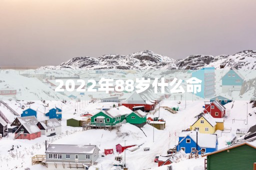 2025年88岁什么命