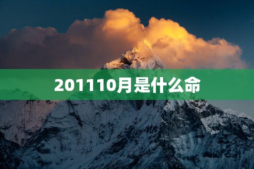 201110月是什么命