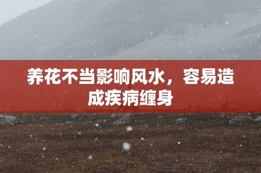 养花不当影响风水，容易造成疾病缠身
