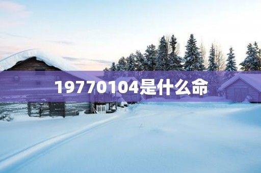 19770104是什么命