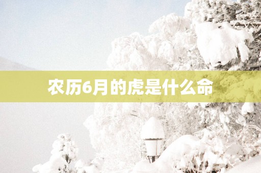 农历6月的虎是什么命