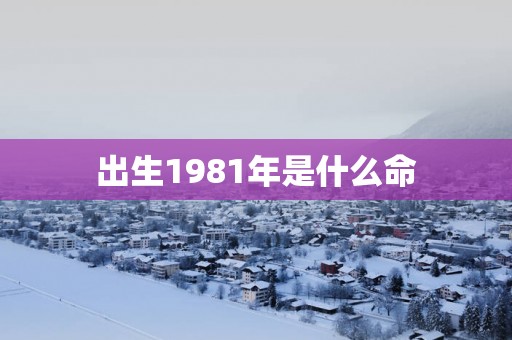 出生1981年是什么命