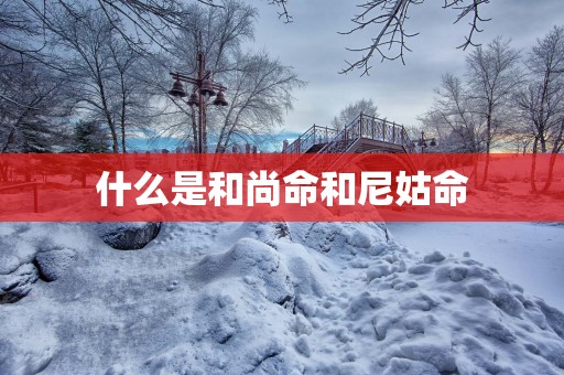 什么是和尚命和尼姑命