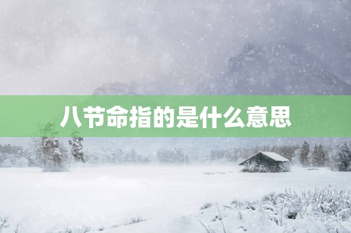 八节命指的是什么意思