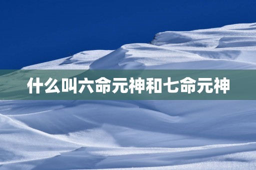 什么叫六命元神和七命元神