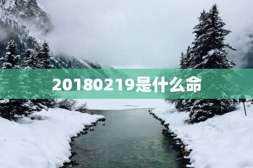 20180219是什么命