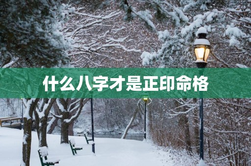 什么八字才是正印命格