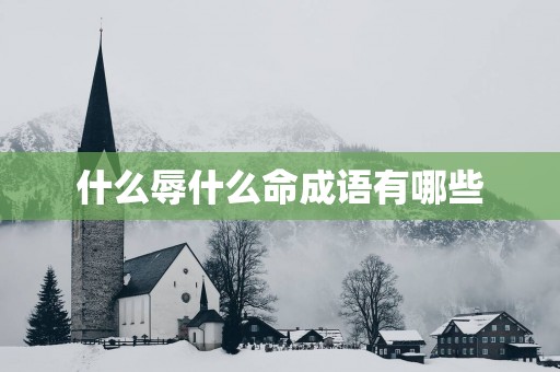 什么辱什么命成语有哪些