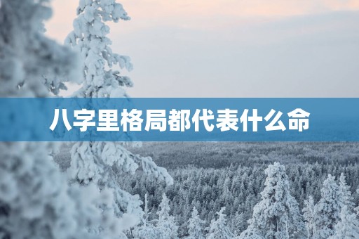 八字里格局都代表什么命