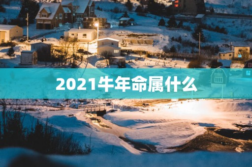 2025蛇年命属什么