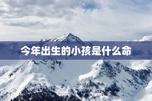 今年出生的小孩是什么命