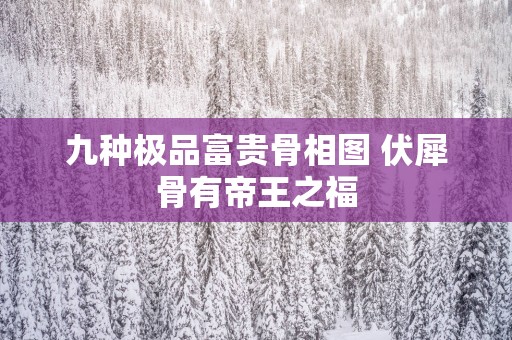 九种极品富贵骨相图 伏犀骨有帝王之福