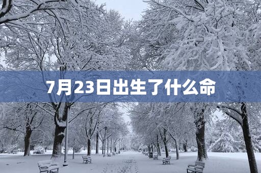 7月23日出生了什么命