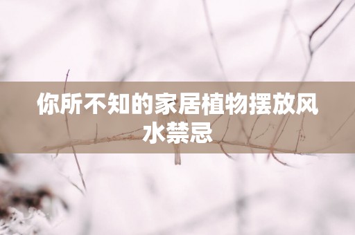 你所不知的家居植物摆放风水禁忌