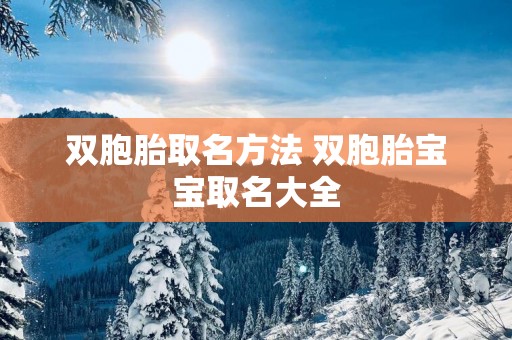 双胞胎取名方法 双胞胎宝宝取名大全