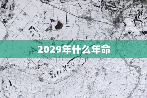 2029年什么年命