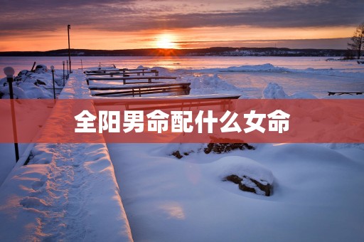 全阳男命配什么女命