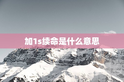 加1s续命是什么意思
