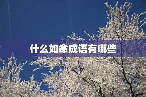 什么如命成语有哪些