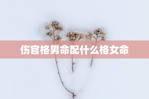 伤官格男命配什么格女命