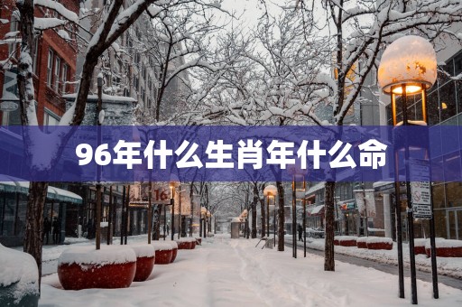 96年什么生肖年什么命