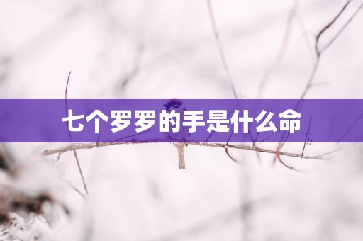 七个罗罗的手是什么命