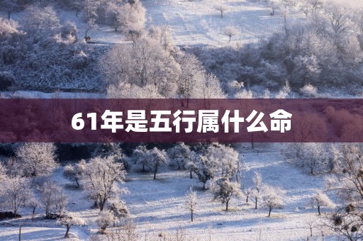 61年是五行属什么命