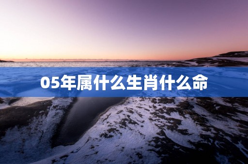 05年属什么生肖什么命