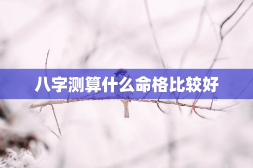 八字测算什么命格比较好