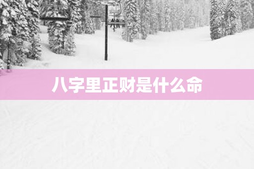 八字里正财是什么命