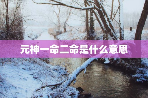 元神一命二命是什么意思
