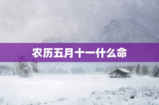 农历五月十一什么命